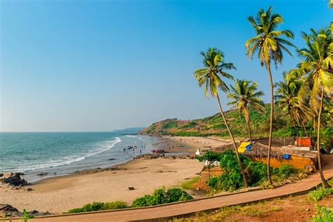 Your ultimate guide to offbeat Goa: Beyond beaches, parties and booze! | India.com