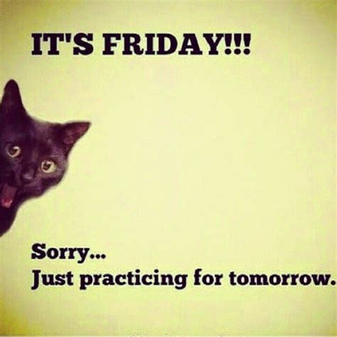 Its Friday Meme : Tomorrow Is Friday Pictures, Photos, and Images for ... : 500 x 911 png 111 кб ...