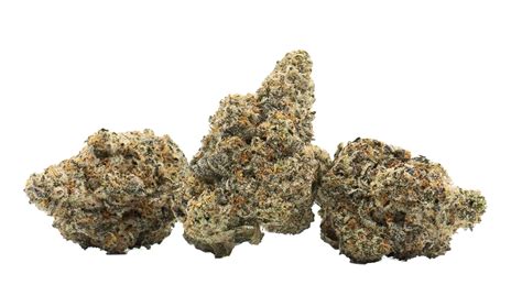 DANTES INFERNO (INDOOR) THC-A Hemp Flower - BlackTieCBD.Net