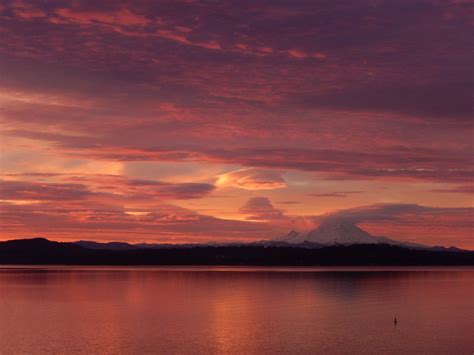 Photos: Serene sunrise offers amazing views of Mount Rainier, Seattle ...