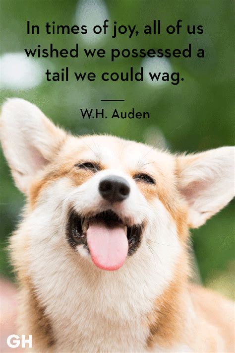 30 Dog Quotes That Every Animal Lover Will Relate To - Best Dog Quotes