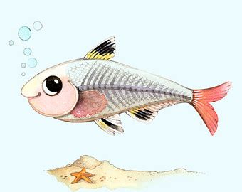 x ray fish clipart 10 free Cliparts | Download images on Clipground 2024