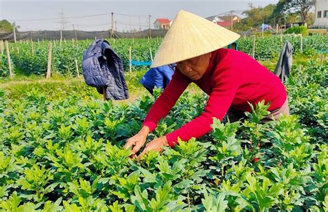 Những người “vẽ” mùa xuân | Báo Dân tộc và Phát triển