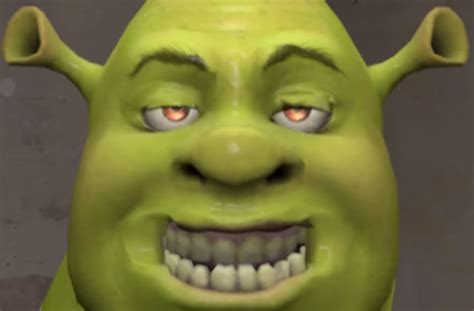 shrek funny face