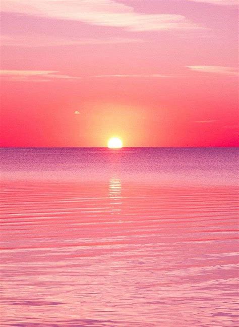 Beach Aesthetic Landscape Pastel Pink Beach - THE POOH WALL, Ombre Sunset, HD phone wallpaper ...