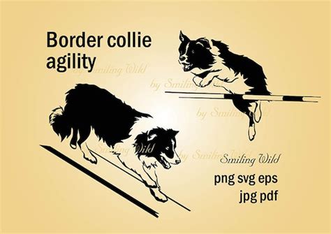 Border Collie Dog Agility Svg Clipart Vector Graphic Art Dog - Etsy