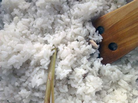 Wayan's really simple nasi gurih recipe (Coconut rice) - Wil and Wayan ...