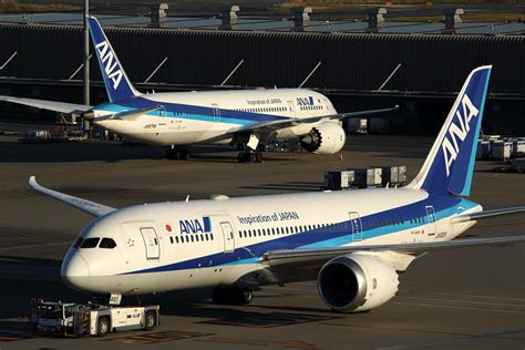 All Nippon Airways Reveals Plan To Launch New Widebody LCC | Aviation ...