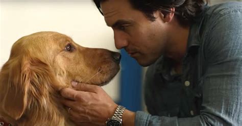 Watch Milo Ventimiglia pick his perfect pup in exclusive clip | EW.com