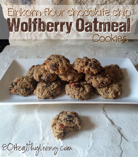 Einkorn Flour Chocolate Chip Wolfberry Oatmeal Cookies | Einkorn ...
