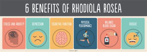 6 Rhodiola Rosea Benefits: רat It Is and How to Use It - Keto diet for women