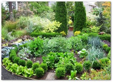 Ornamental Vegetable Garden Plants, Ideas, Pictures