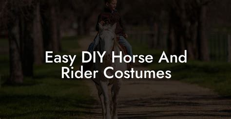 Easy DIY Horse And Rider Costumes - How To Own a Horse