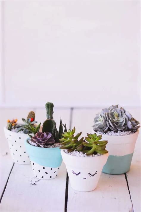 28 Creative Indoor Succulent Planter Ideas to Brighten Your Space