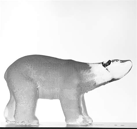 Arctic polar bear ice sculpture on display | North Lanarkshire Council