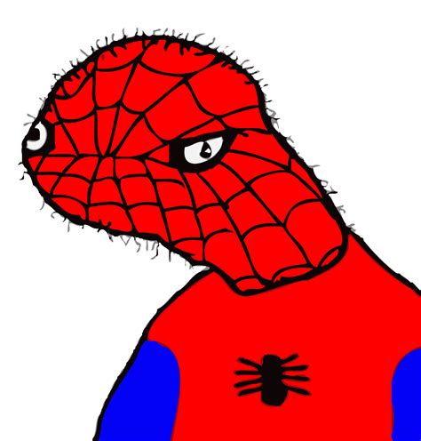 spoderman | Spiderman funny, Spiderman meme, Spiderman