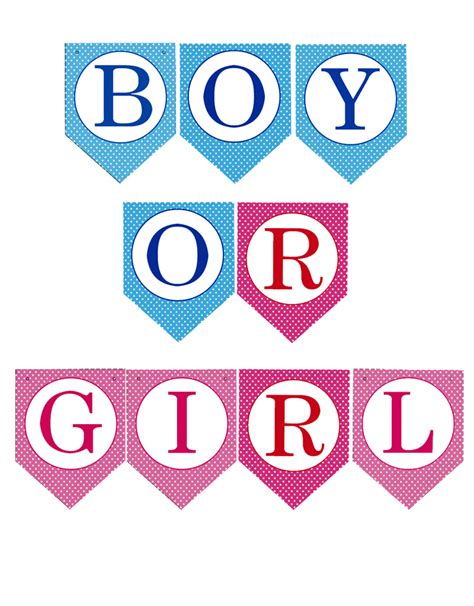 Gender Reveal Party Ideas Boy or Girl Banner - AZ Gift & Trading