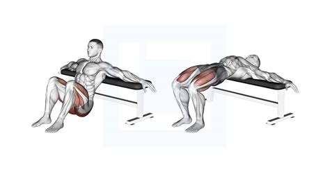 Dumbbell Kas Glute Bridge - Guide, Benefits, and Form