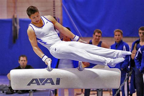 Pommel Horse the Sport