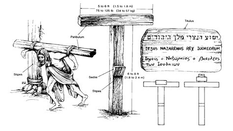 Special Study: On The Physical Death Of Jesus