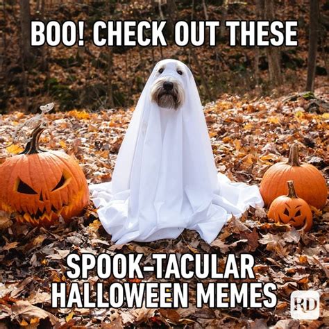 Funny Halloween Memes Between Friends Who Love Halloween - Carter Seepince