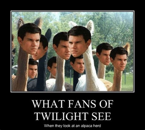 Twilight: 10 Hilarious Jacob Memes That Are Too Funny