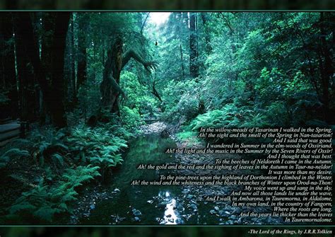 an image of a forest scene with a poem written in the center and trees surrounding it