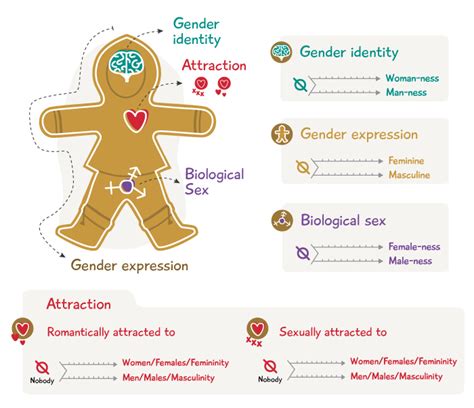 Gender Identity and Expression | IRespectMyself