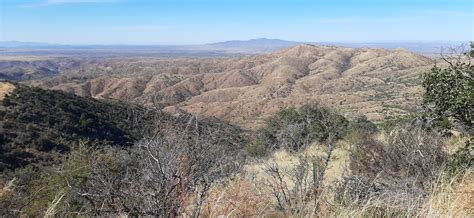 The Climb to Mount Lemmon | Tony's Hiking Adventure