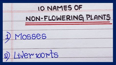 Names of non flowering plants | 10 Non flowering plants names | List of non flowering plants ...