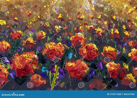 Oil Painting of a Red Poppy Field Flower. Summer Flowers Red Field Stock Photo - Image of ...