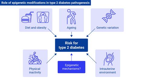 Epigenetic modifications and type 2 diabetes – EASD e-Learning