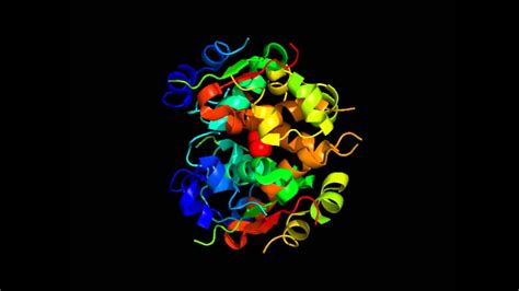 The structure of human insulin - YouTube