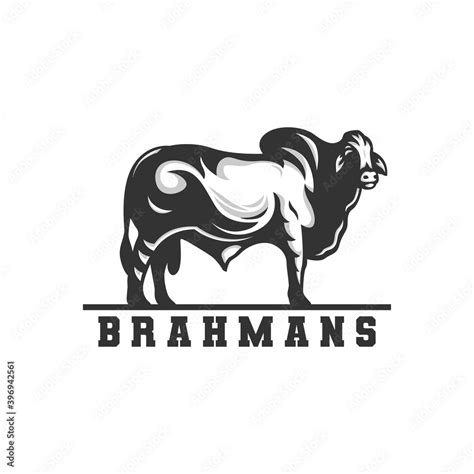 brahman cow logo, vector logo. Stock Vector | Adobe Stock