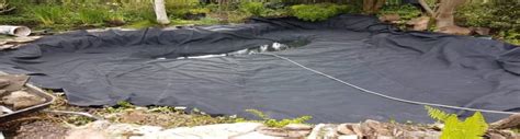 Pond Liner Replacement – JPM Ponds