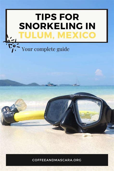 The Best Snorkeling in Tulum - Pristine Reefs and Epic Cenotes