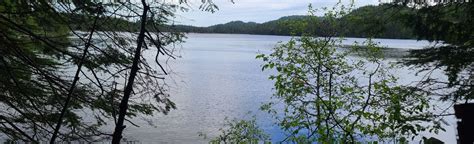 Fenton-Treeby Canoe Route: 7 Reviews, Map - Ontario, Canada | AllTrails