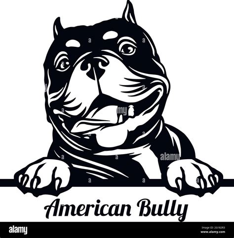 American bully logo vector vectors Black and White Stock Photos & Images - Alamy