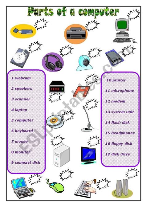 parts of a computer worksheet | Computer basics, Computer basic, Computer