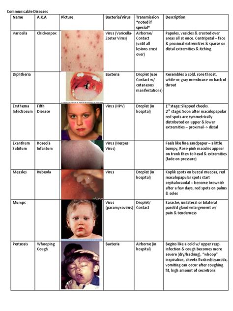 Communicable Diseases Chart With Pics | PDF | Pediatrics | Rtt