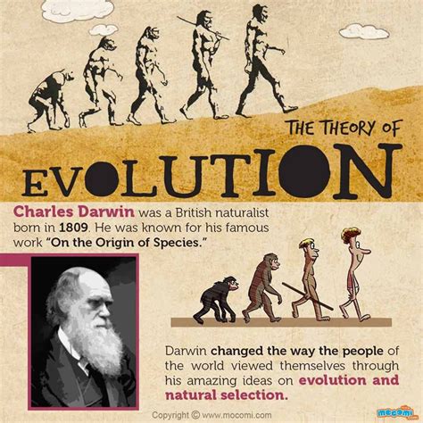 Charles Darwin Theory of Evolution - KaylinkruwMccarthy