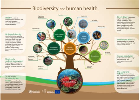 Biodiversity - Definition and Examples - Biology Online Dictionary