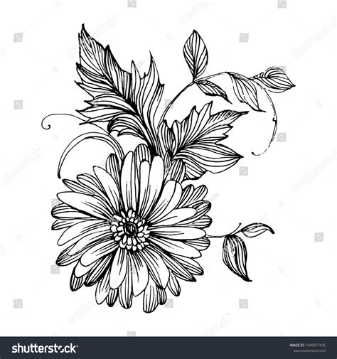 Chrysanthemum By Hand Drawing Floral Tattoo Stock Vector (Royalty Free ...