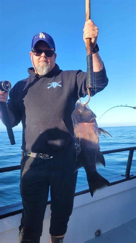 Eldorado Sportfishing Fish Report