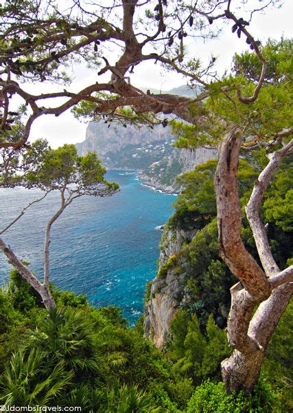 Hiking Capri | Places to travel, Travel, Capri