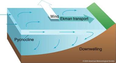 Ocean Motion : Definition : Wind Driven Surface Currents - Upwelling ...