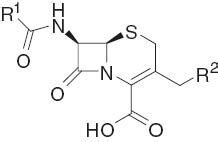 Core structure of cephalosporin. | Download Scientific Diagram