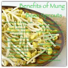 Benefits Of Mung Bean Sprouts