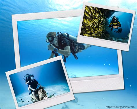 "Diving" One Of Amazing And Unforgettable Experience For Life Time