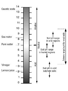 Soil pH | Environment, land and water | Queensland Government